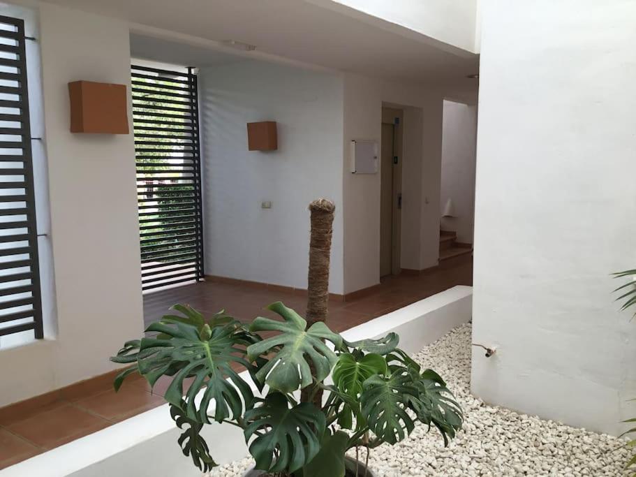 Alcazaba Blue Lagoon 3 Bedroom, Ground Floor Apartment Estepona Ngoại thất bức ảnh